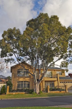 Modern Avustralya müstakil ev