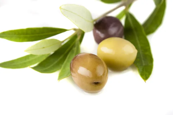 Olives and oil with leaves,shallow depth of field — Stock Photo, Image