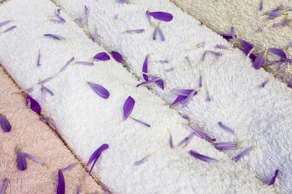 Linie von Handtüchern verschiedene Farben isoliert auf weiß — Stockfoto