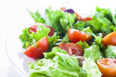 beyaz üzerine salata