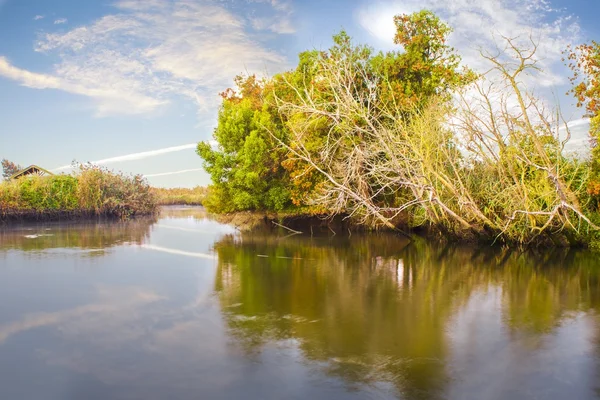 Landscape with river — Stock Photo, Image