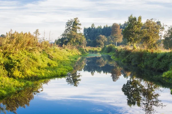 Landscape of river — Stock Photo, Image