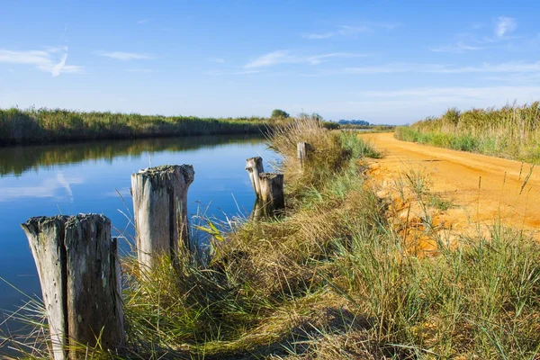 Logs on river Royalty Free Stock Images