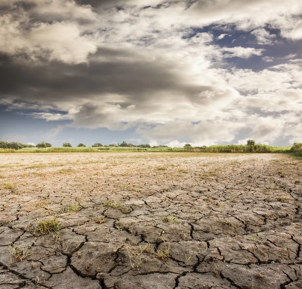 Cracked land — Stock Photo, Image