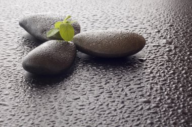 çalışan iş adamları