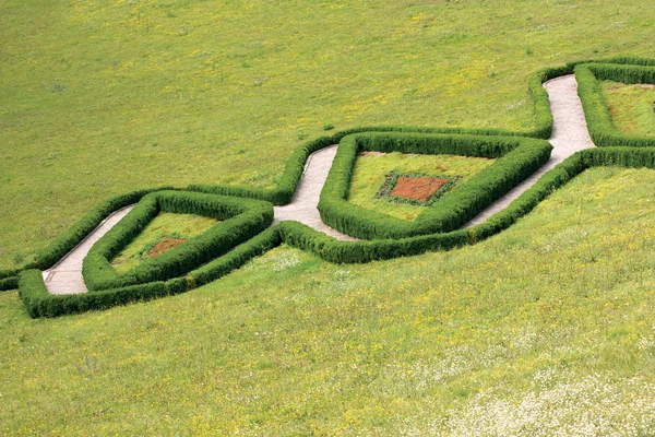 Garden path of unusual shape — Stock Photo, Image