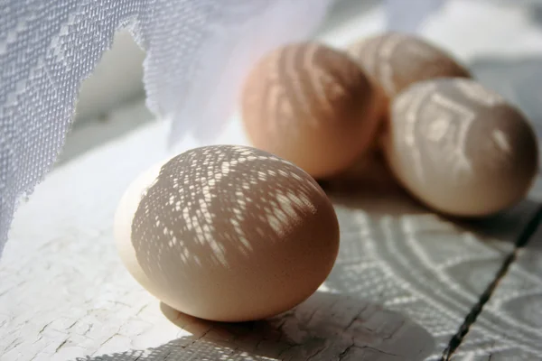 Curtai gölge tarafından boyalı model pencere üzerinde yumurta — Stok fotoğraf