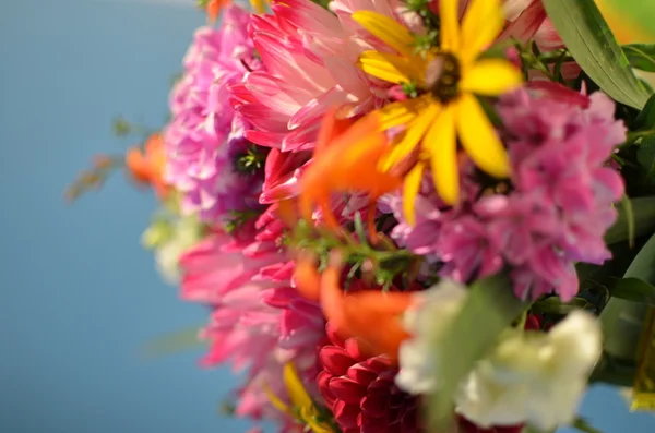 Heldere bloemen — Stockfoto
