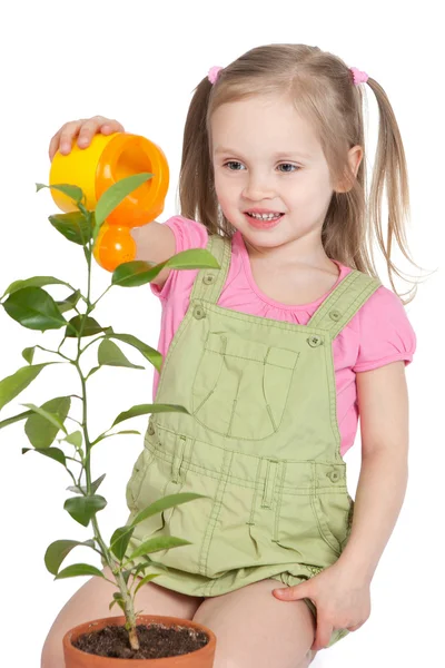 Klein meisje drenken de plant — Stockfoto