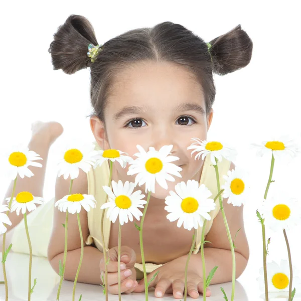 Маленькая девочка с маргаритками на белом — стоковое фото