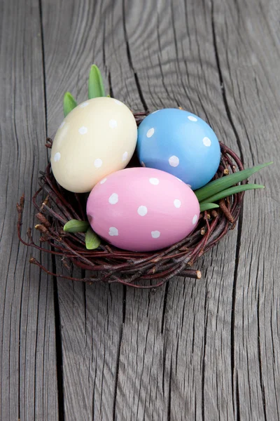 Œufs de Pâques colorés dans un nid — Photo