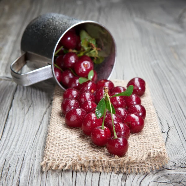 Cerises fraîches et savoureuses — Photo