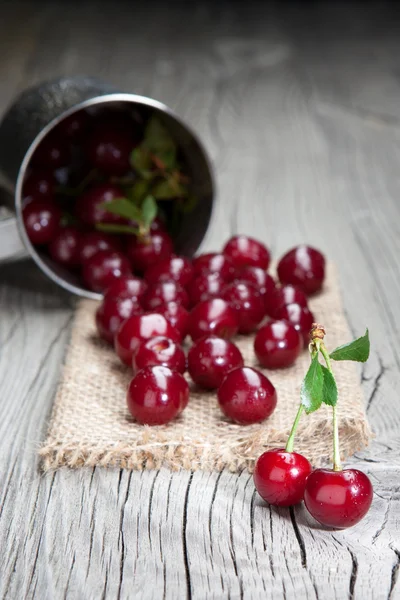 Cerises fraîches et savoureuses — Photo