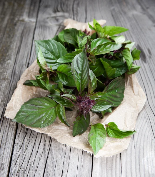 taze fesleğen yaprağı