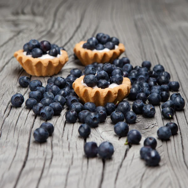 Blueberry mini tarts — Stock Photo, Image