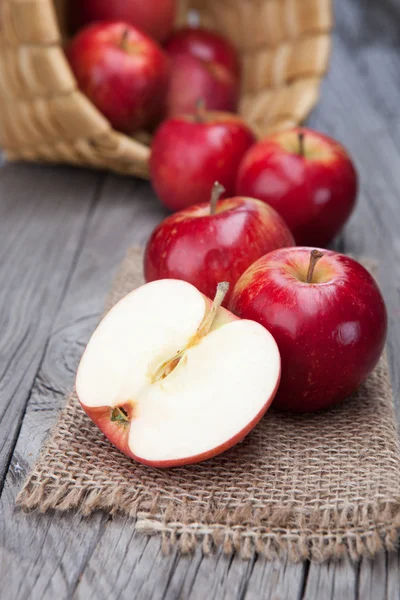 Colheita fresca de maçãs — Fotografia de Stock