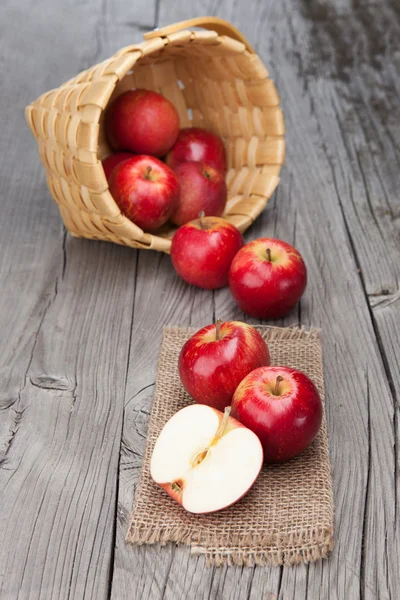 Frische Ernte der Äpfel — Stockfoto