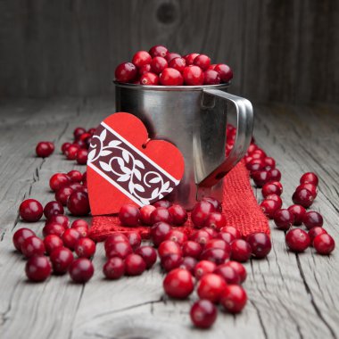 taze organik kızılcık