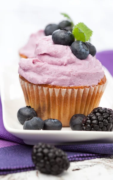 Blaubeer-Cupcakes — Stockfoto