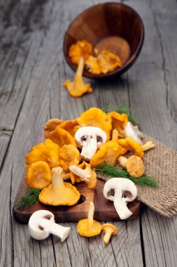 Tahta masadaki mantarlar