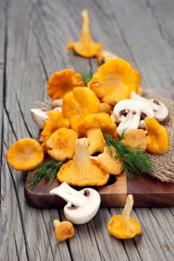 Tahta masadaki mantarlar 