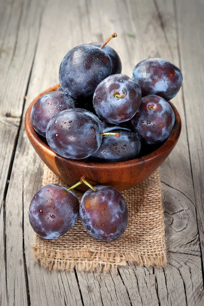 Raccolta fresca di prugne — Foto Stock