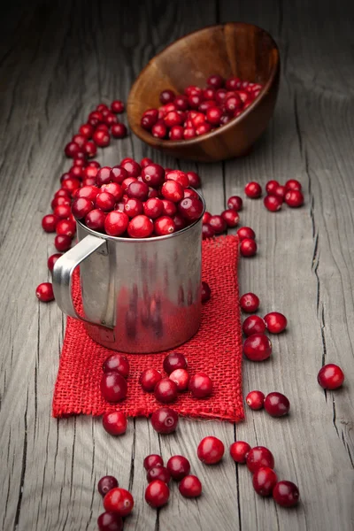 Fresh organic cranberry — Stock Photo, Image