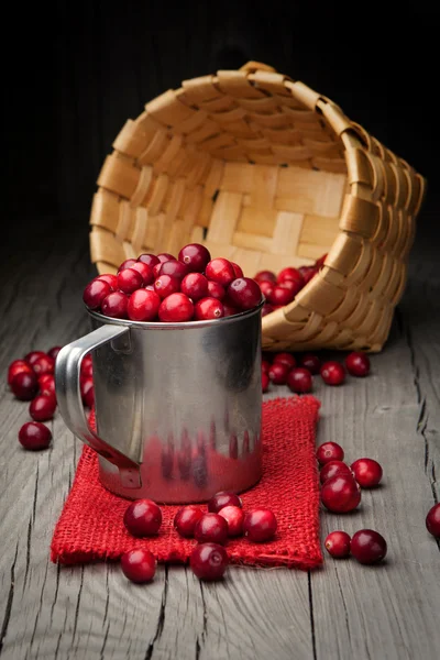 Verse organische cranberry — Stockfoto