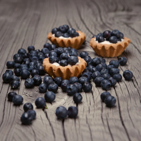 Tasty mini tarts with blueberries — Stock Photo, Image