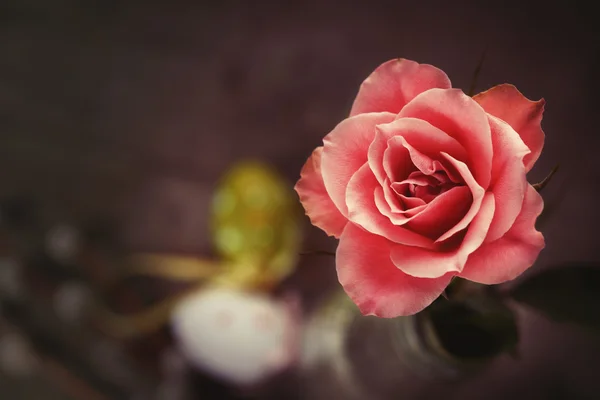 Easter still life — Stock Photo, Image