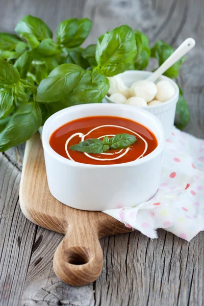 Rajčatová polévka Gaspacho — Stock fotografie