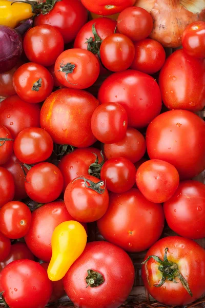 Red tomatoes background — Stock Photo, Image