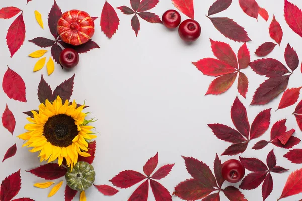 Composition Créative Automne Feuilles Rouges Raisin Sauvage Tournesol Citrouilles Sur — Photo