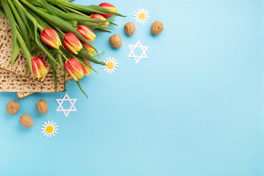 Yahudi bayramı tebrik kartı konsepti. Matza, fındık, papatya ve mavi masada lale çiçekleri. Seder Pesach bahar tatili arka planı, üst görünüm, kopyalama alanı.