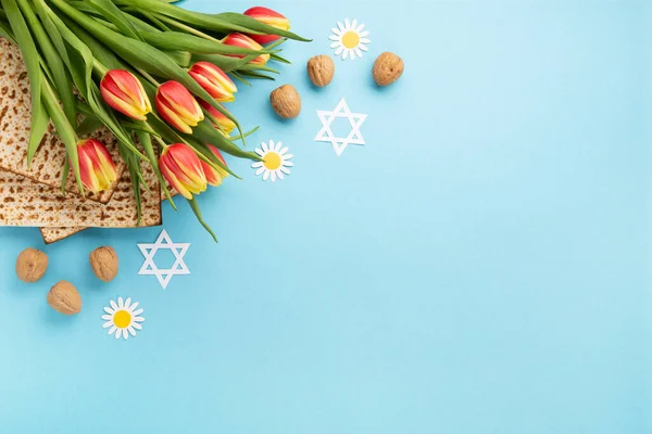 Jewish Holiday Passover Greeting Card Concept Matzah Nuts Daisy Tulip — Stock Photo, Image