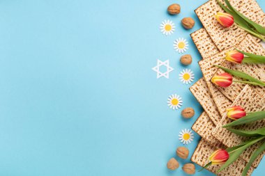 Yahudi bayramı tebrik kartı konsepti. Matza, fındık, lale ve papatya çiçekli mavi masa. Seder Pesach bahar tatili arka planı, üst görünüm, kopyalama alanı.
