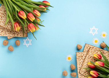 Yahudi bayramı tebrik kartı konsepti, matza, fındık ve lale çiçekli mavi masa. Seder Pesach bahar tatili arka planı, üst görünüm, kopyalama alanı.