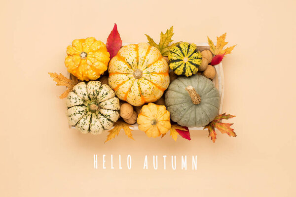 Осенняя праздничная композиция с тыквами, орехами и сухими листьями на бумажном бежевом фоне. Hello Autumn, thanksgiving, fall, halloween concept. Вид сверху, копировальное пространство, плоская кладка.
