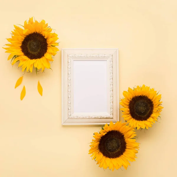 Autumn Fresh Sunflowers Leaves White Wooden Empty Frame Yellow Background — Stockfoto