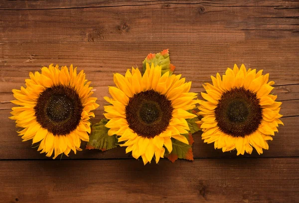Autumn Holiday Greeting Card Beautiful Fresh Sunflowers Leaves Rustic Wooden —  Fotos de Stock