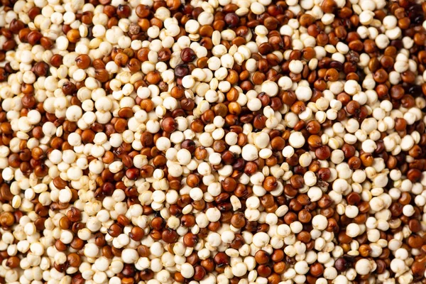 Red White Raw Quinoa Grain or Seeds for texture or ingredient background, Top view. Gluten free, Healthy eating, dieting, balanced food concept. South American grain food.