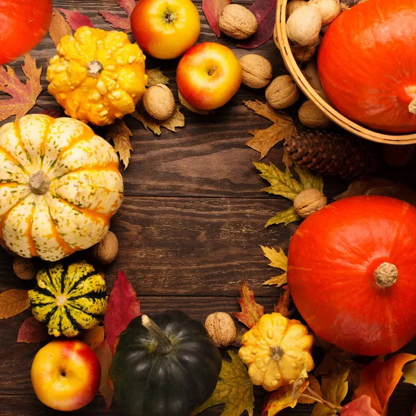 Herbstferienkomposition Getrocknete Blätter Kürbisse Äpfel Nüsse Und Zimt Auf Dunklem — Stockfoto