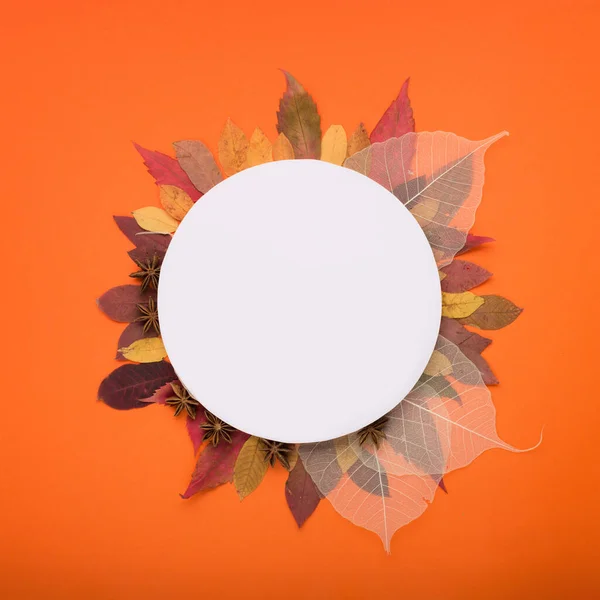 Herbstliche Papierdekorationen Auf Orangefarbenem Hintergrund Leere Blankokarten Und Herbstblätter Ferienkonzept — Stockfoto