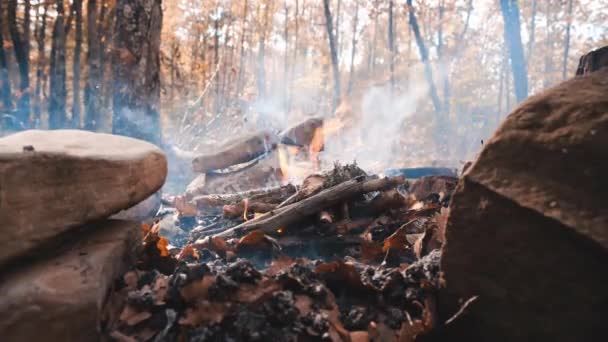 男の手が秋の森の中で焚き火をする — ストック動画
