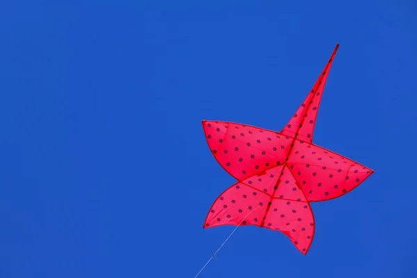 Kite festival — Stockfoto