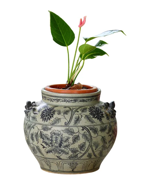 Flowerpot — Stock Photo, Image