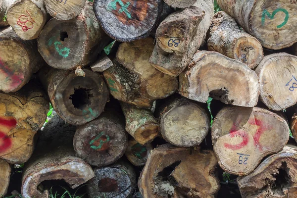 Número de madera seca . — Foto de Stock