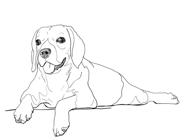 Το ανάπαυσης χρόνος του beagle — Διανυσματικό Αρχείο