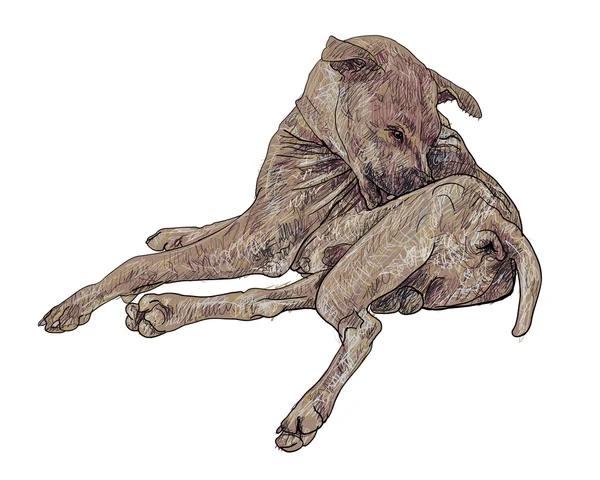 Le chien galeux — Image vectorielle