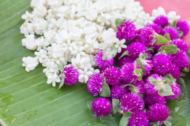 Yasemin ve küre mor çiçek yığını